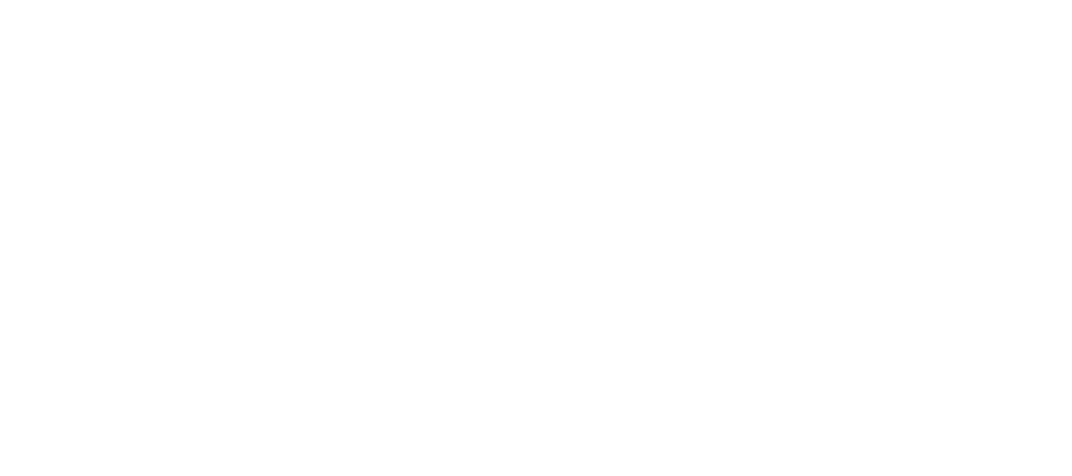 Dick's Sporting Goods logo